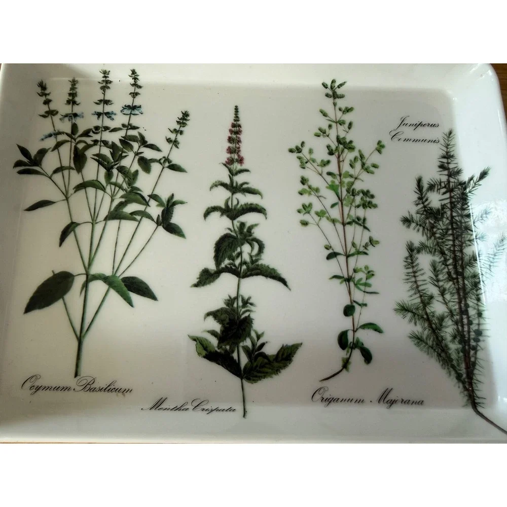 PUE Import Inc. Italian Vintage 1980's Botanical Herb Accessory Small Tray